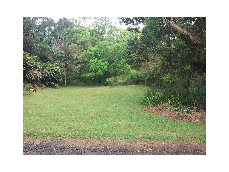 Millaa Millaa QLD 4886