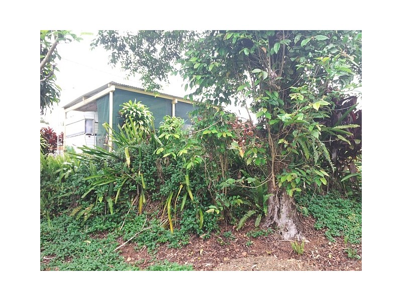 Millaa Millaa QLD 4886