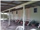 Millaa Millaa QLD 4886