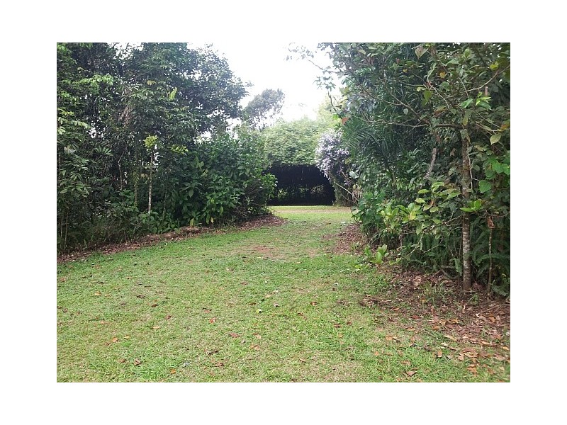 Millaa Millaa QLD 4886