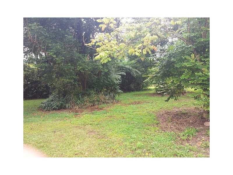 Millaa Millaa QLD 4886