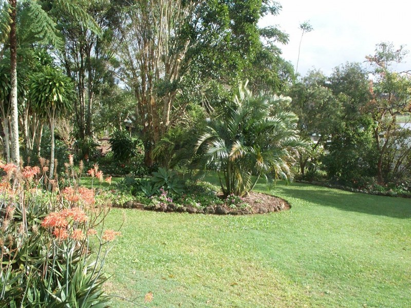 Yungaburra QLD 4884