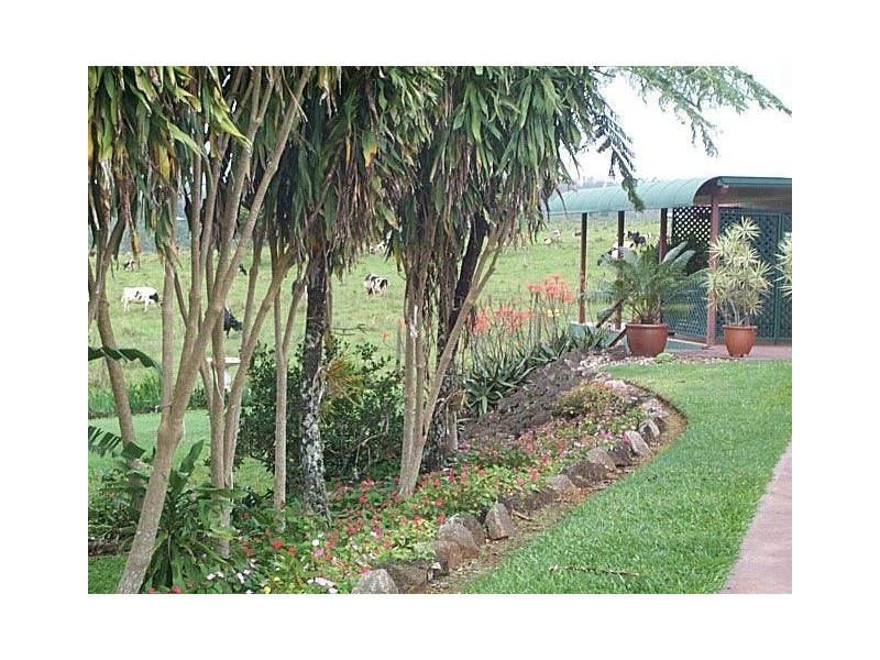 Yungaburra QLD 4884