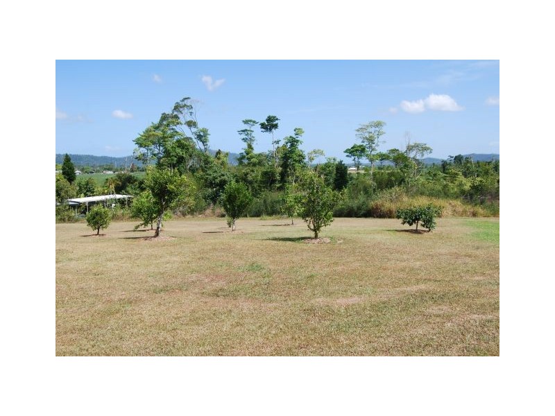 800 OLD TULLY ROAD, Malanda QLD 4885