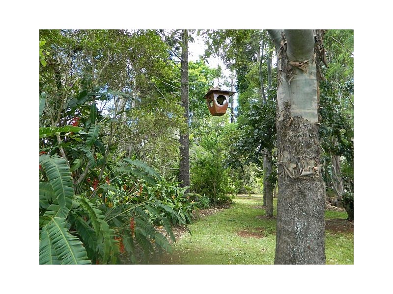 3 Tanner Rd, Malanda QLD 4885