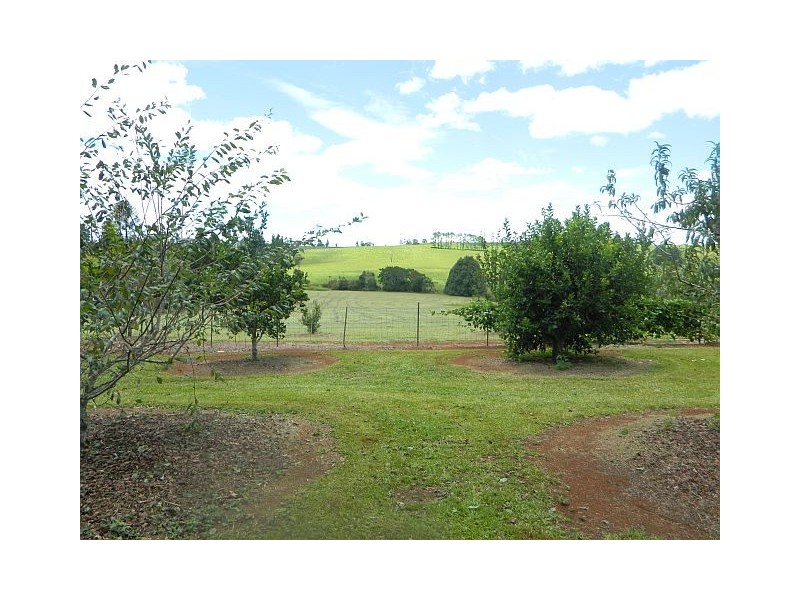 3 Tanner Rd, Malanda QLD 4885