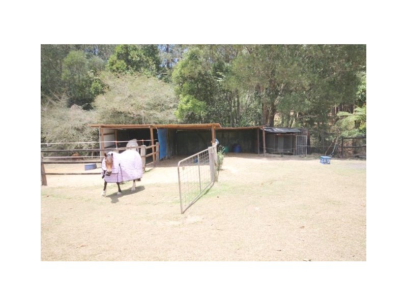 165 Lakes Dr,, Lake Eacham QLD 4884