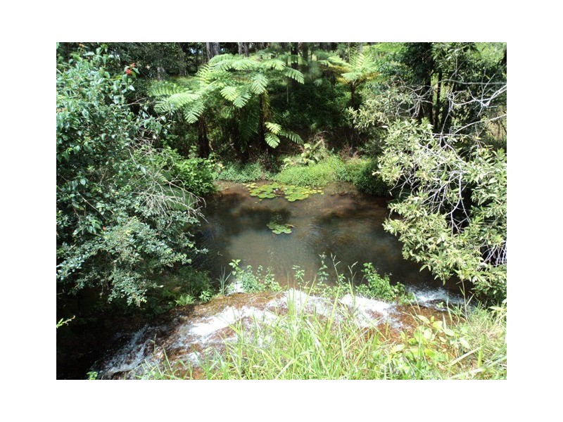 165 Lakes Dr,, Lake Eacham QLD 4884