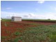 Malanda QLD 4885