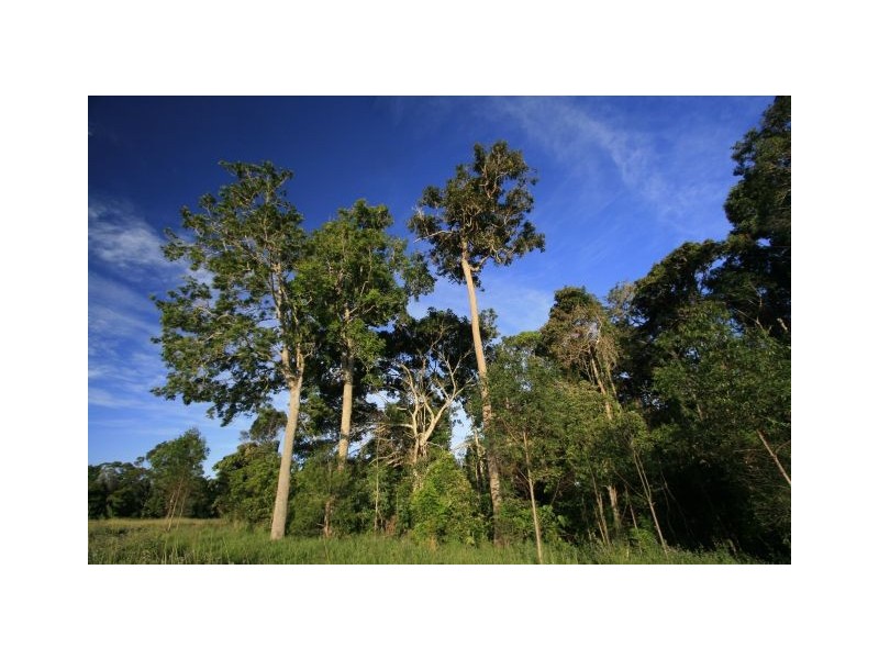 620 Tully falls Road, Ravenshoe QLD 4888