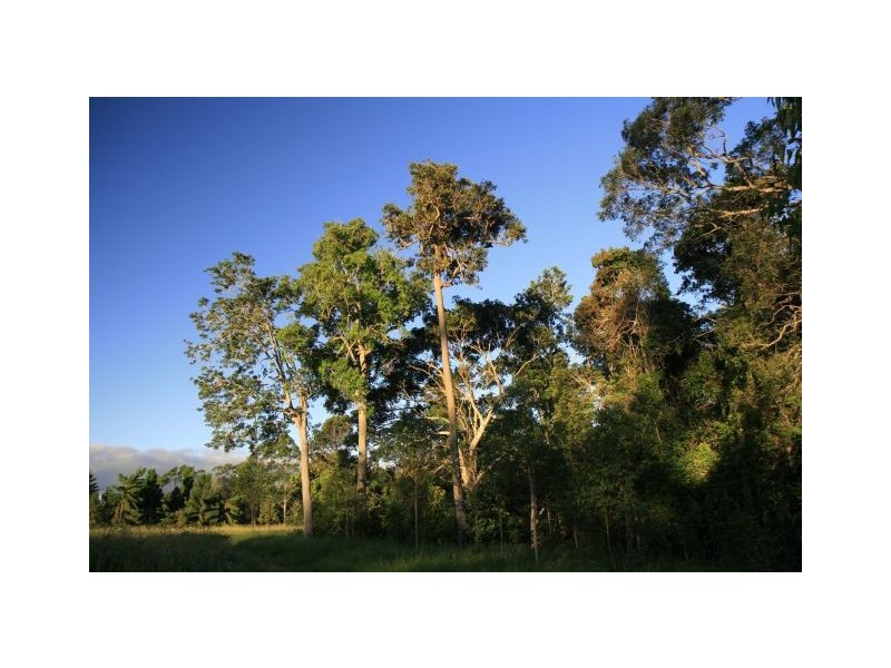 620 Tully falls Road, Ravenshoe QLD 4888
