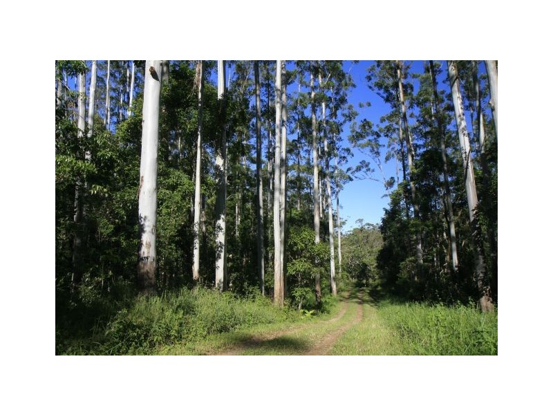 620 Tully falls Road, Ravenshoe QLD 4888
