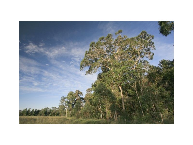 620 Tully falls Road, Ravenshoe QLD 4888