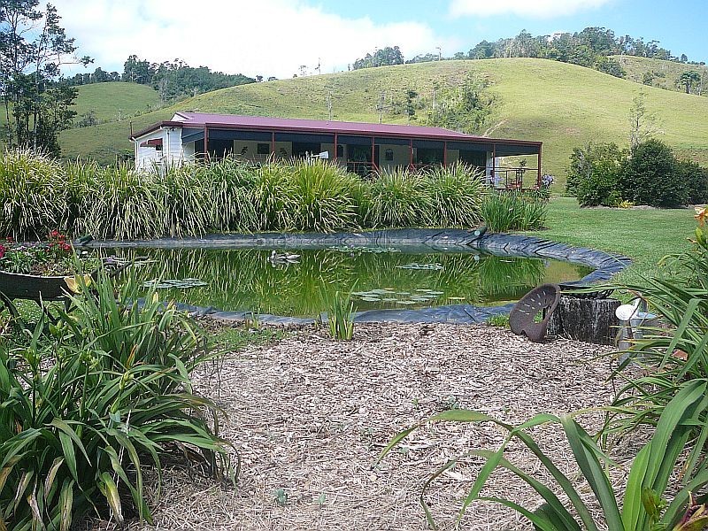 Millaa Millaa QLD 4886