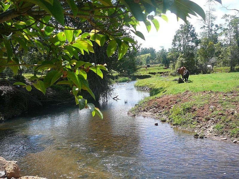 Millaa Millaa QLD 4886