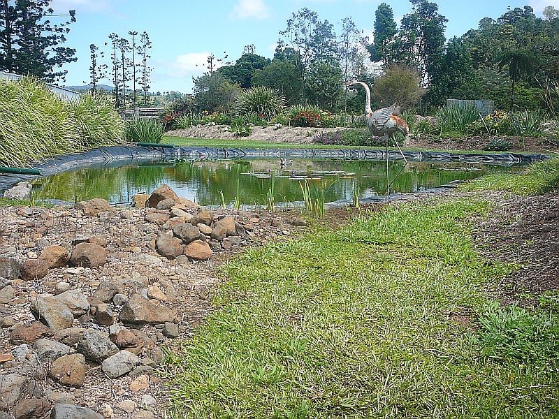 Millaa Millaa QLD 4886