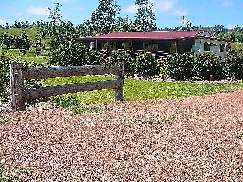 Millaa Millaa QLD 4886