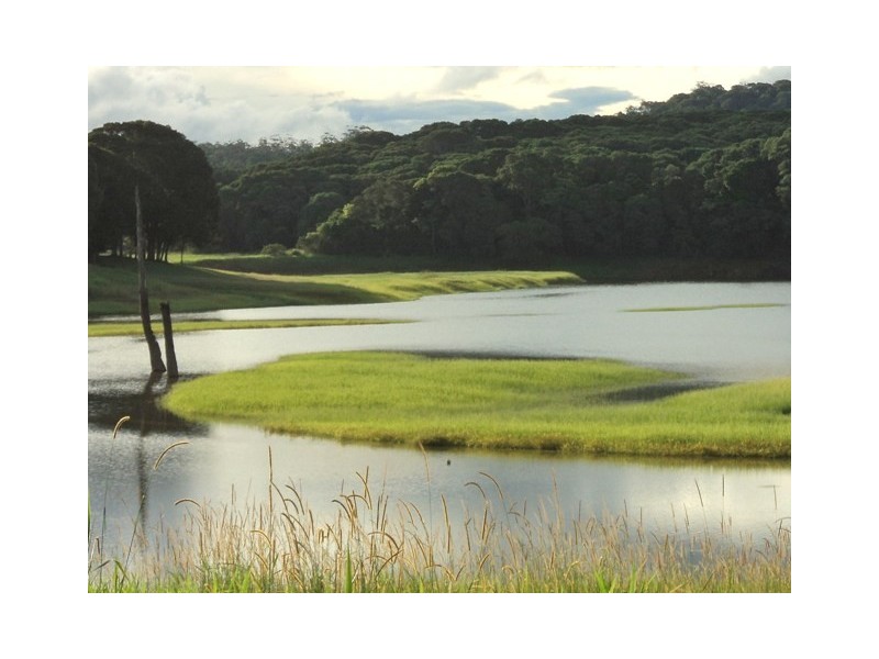 Lake Barrine QLD 4884