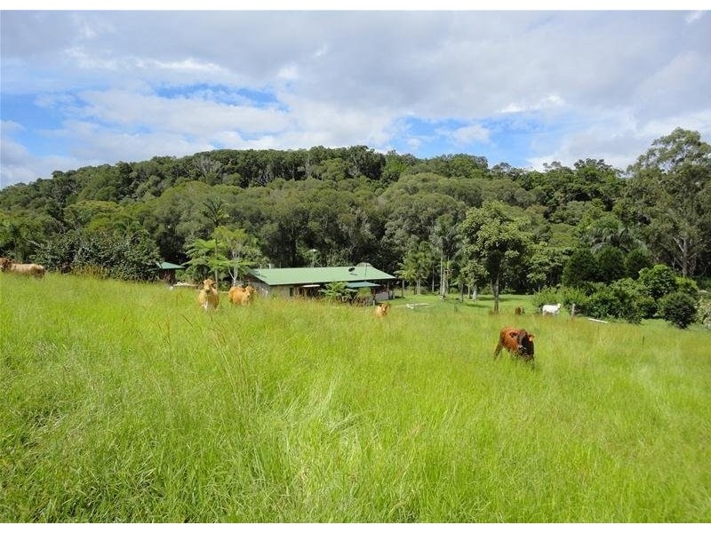Barrine QLD 4872