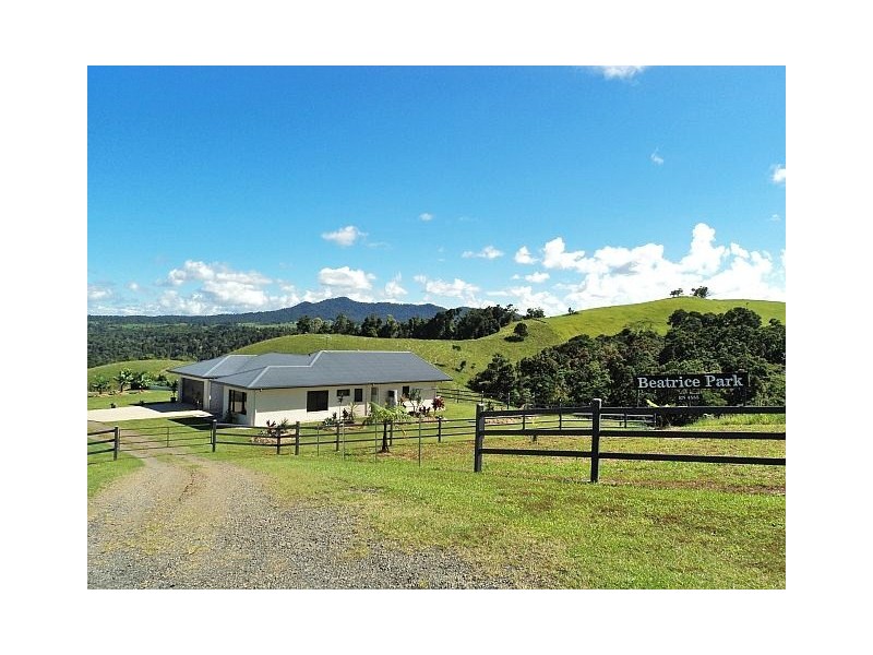 Millaa Millaa QLD 4886