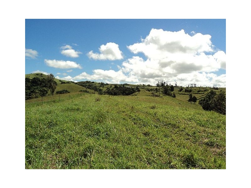 Millaa Millaa QLD 4886