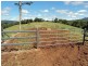 Millaa Millaa QLD 4886
