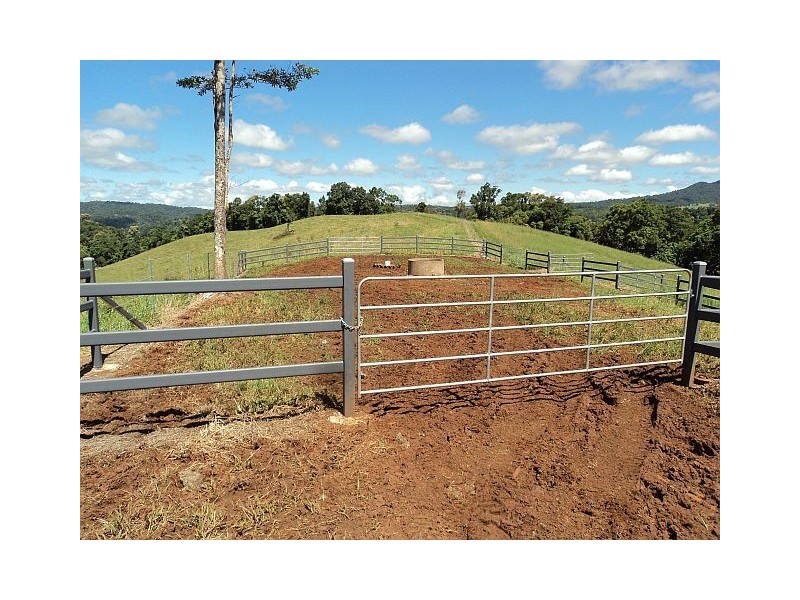 Millaa Millaa QLD 4886