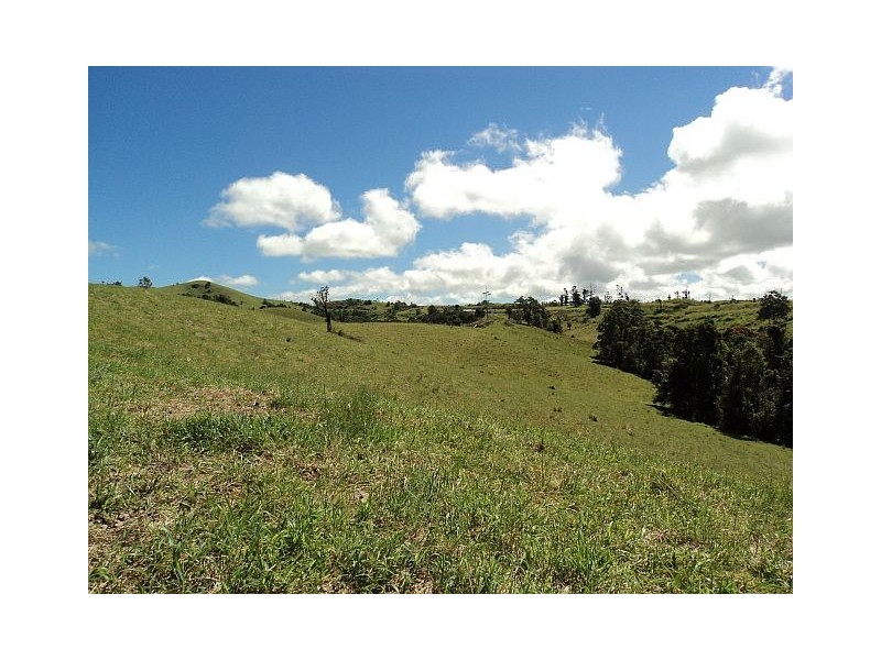 Millaa Millaa QLD 4886