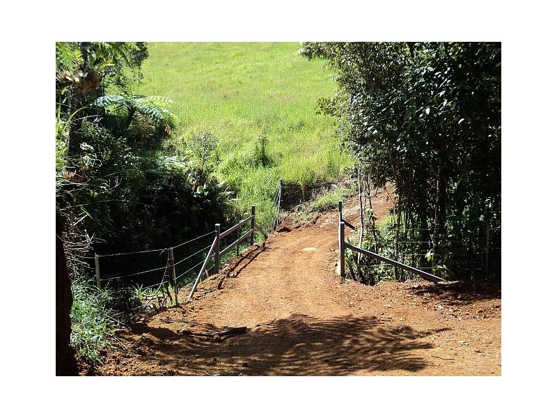 Millaa Millaa QLD 4886