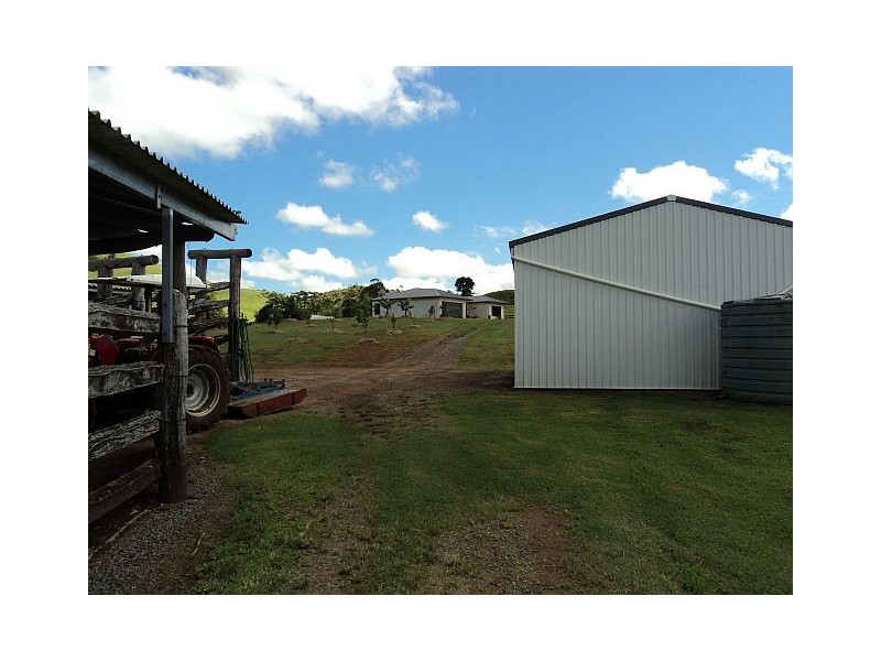 Millaa Millaa QLD 4886