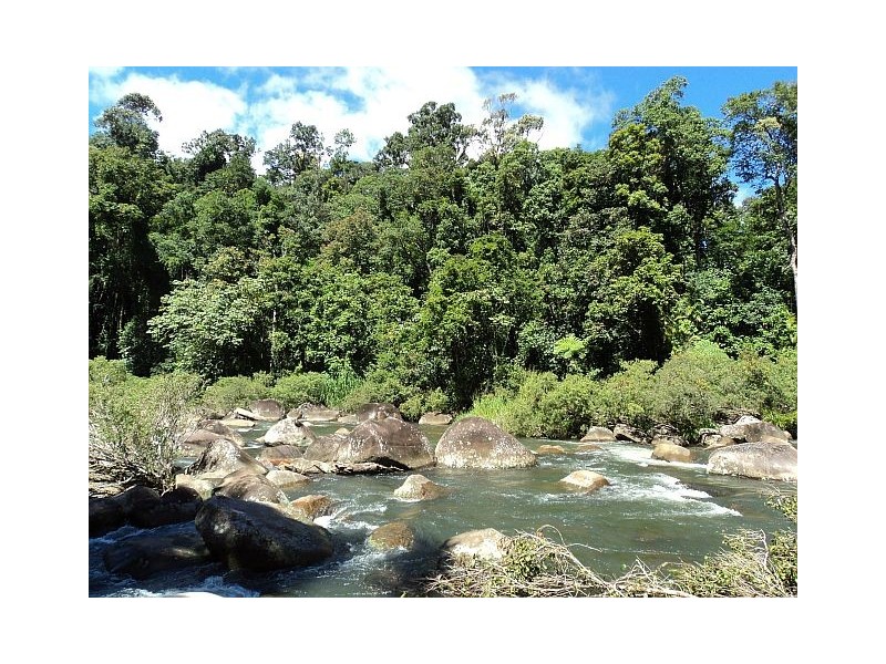 Millaa Millaa QLD 4886