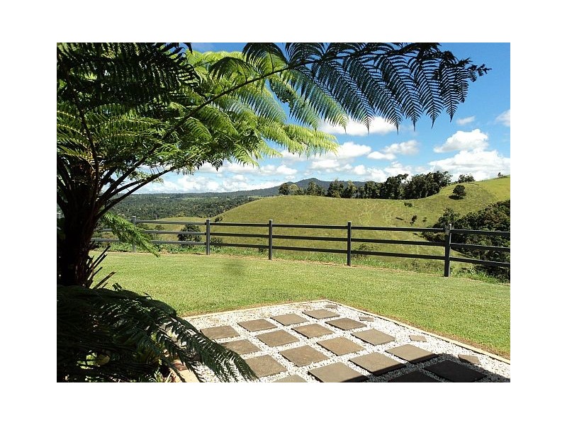 Millaa Millaa QLD 4886