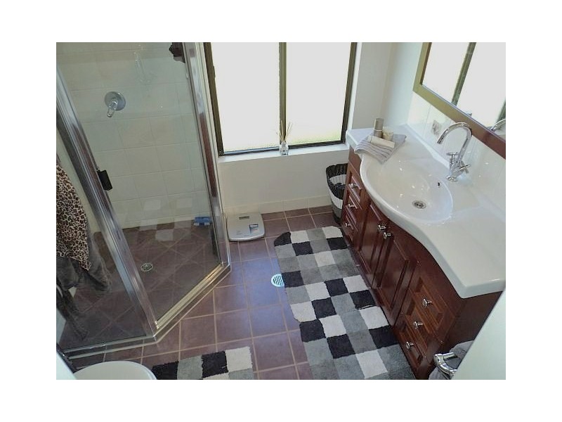 Millaa Millaa QLD 4886