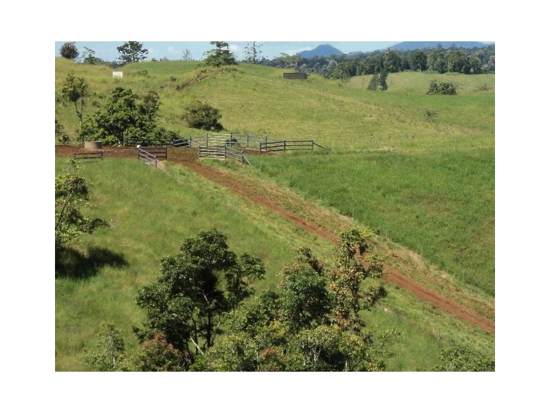 Millaa Millaa QLD 4886
