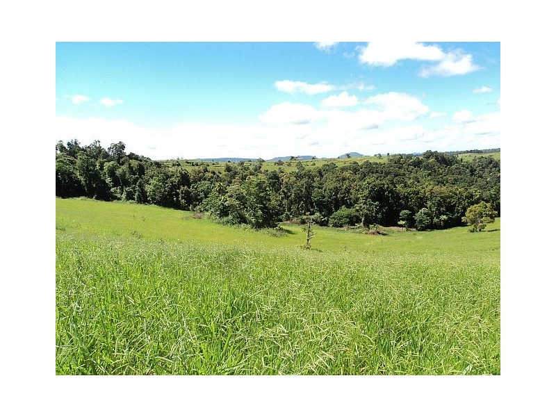 Millaa Millaa QLD 4886