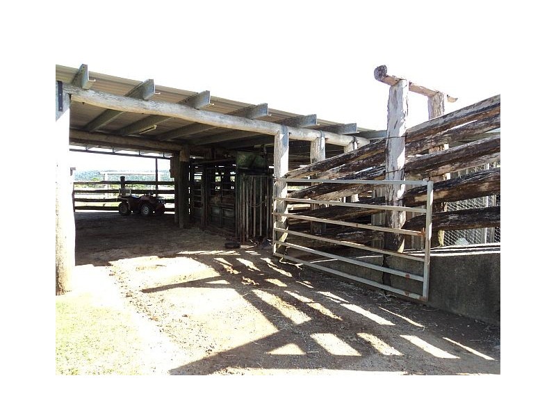 Millaa Millaa QLD 4886