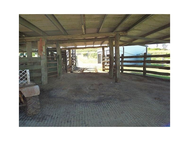 Millaa Millaa QLD 4886