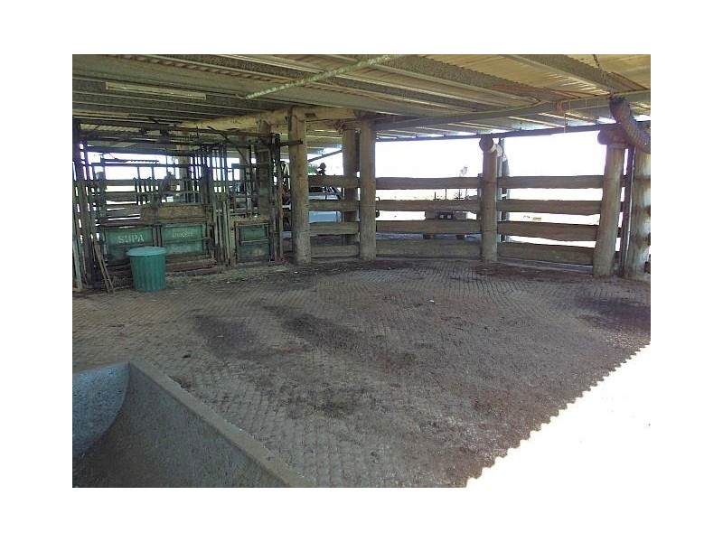 Millaa Millaa QLD 4886