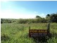 Millaa Millaa QLD 4886