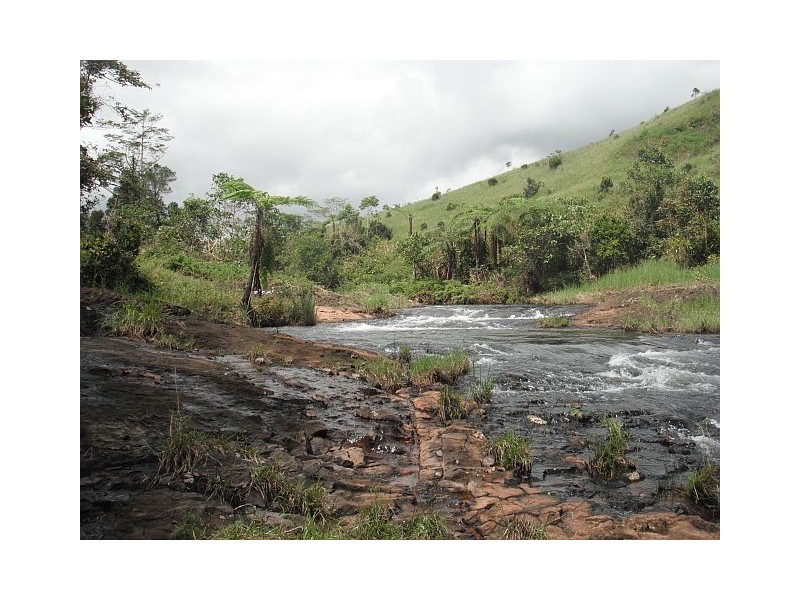Millaa Millaa QLD 4886