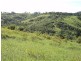 Millaa Millaa QLD 4886