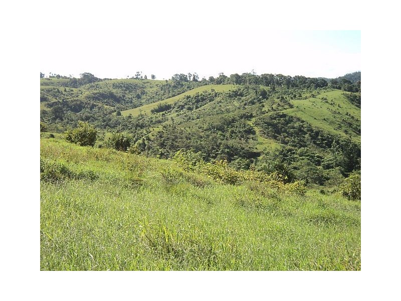Millaa Millaa QLD 4886