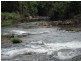 Millaa Millaa QLD 4886