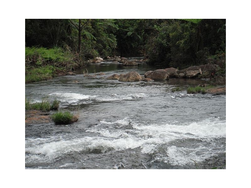 Millaa Millaa QLD 4886
