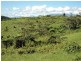 Millaa Millaa QLD 4886