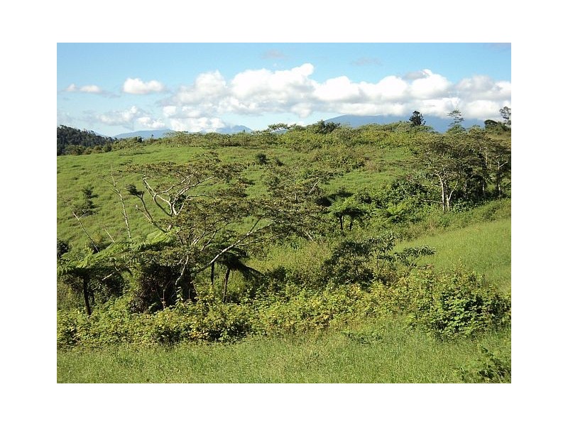 Millaa Millaa QLD 4886
