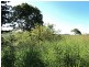Millaa Millaa QLD 4886