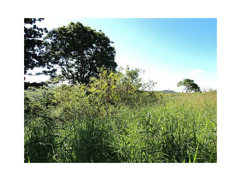 Millaa Millaa QLD 4886