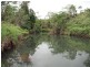 Millaa Millaa QLD 4886
