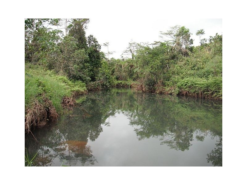 Millaa Millaa QLD 4886